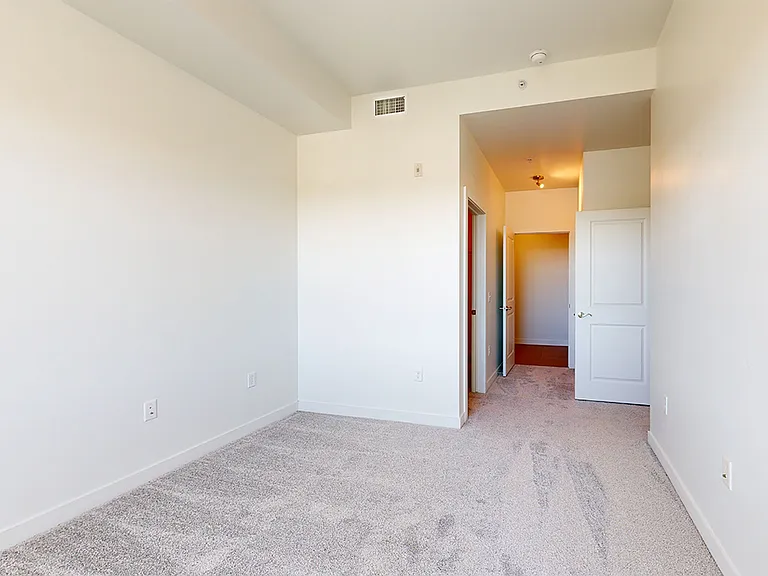 Spacious apartment bedroom with large closet, attached bathroom and plush carpet flooring.