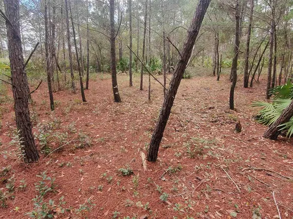 8781 Olivera St, Navarre, FL 32566