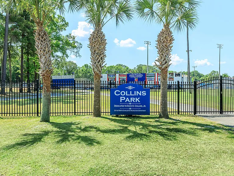 Collins Park — Photo 10