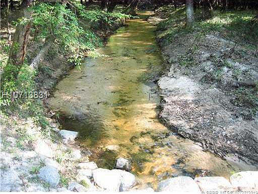 4th image of 1895 Beaver Creek Dr