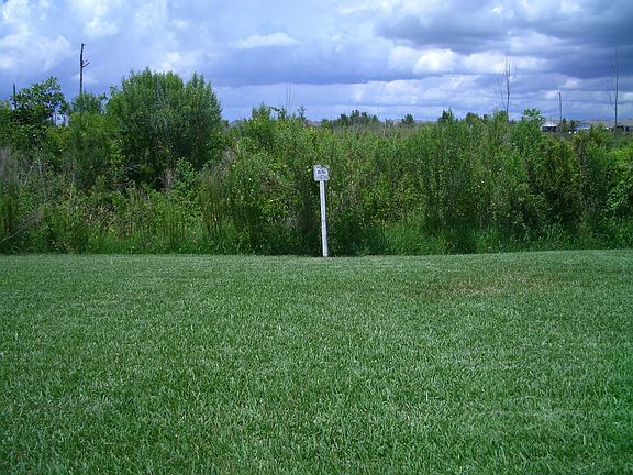 Conservation View