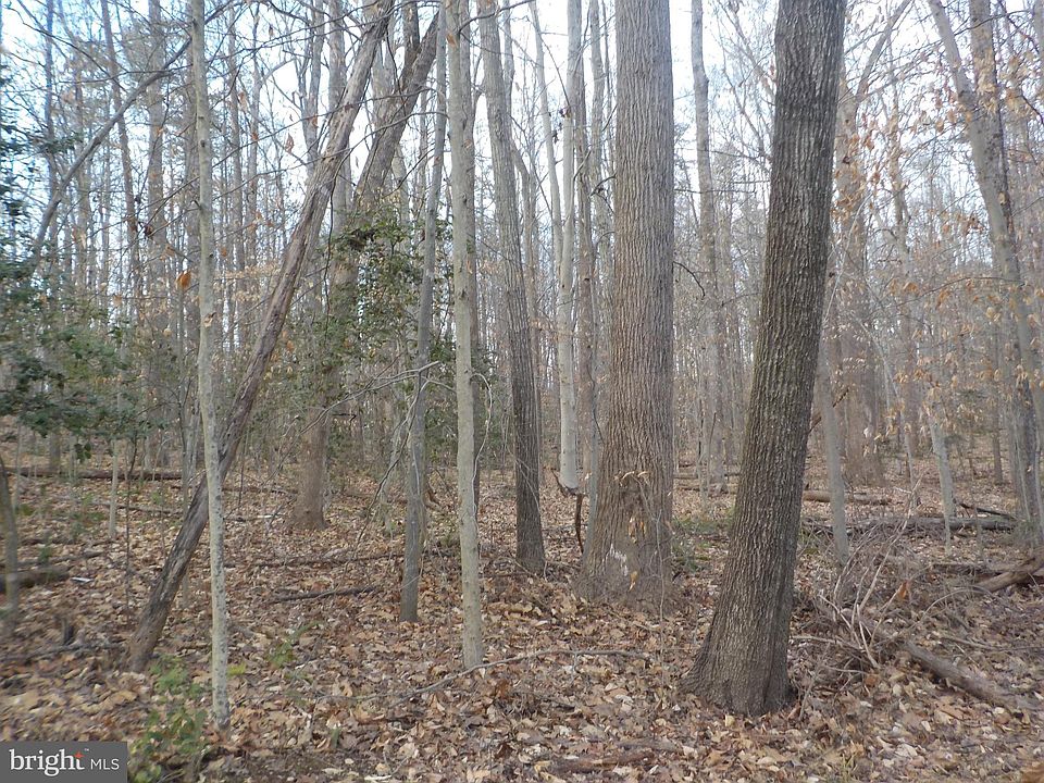 2nd image of 8870 Evelyn Dr