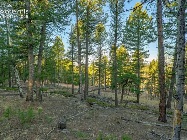88 Malmsey Ln, Divide, CO 80814