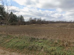 10100 Vassar Rd, Grand Blanc, MI 48439