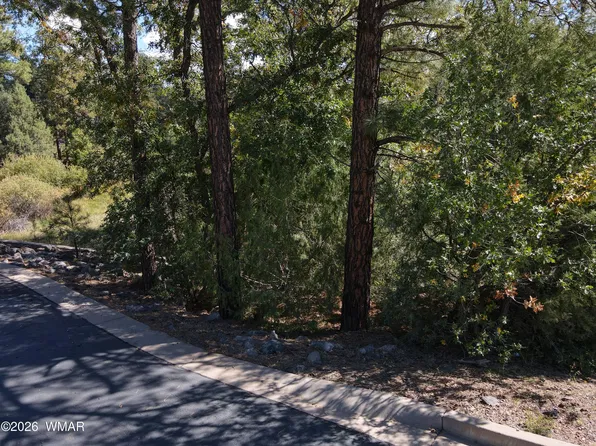 18 W Walnut Creek Trl, Lakeside, AZ 85929