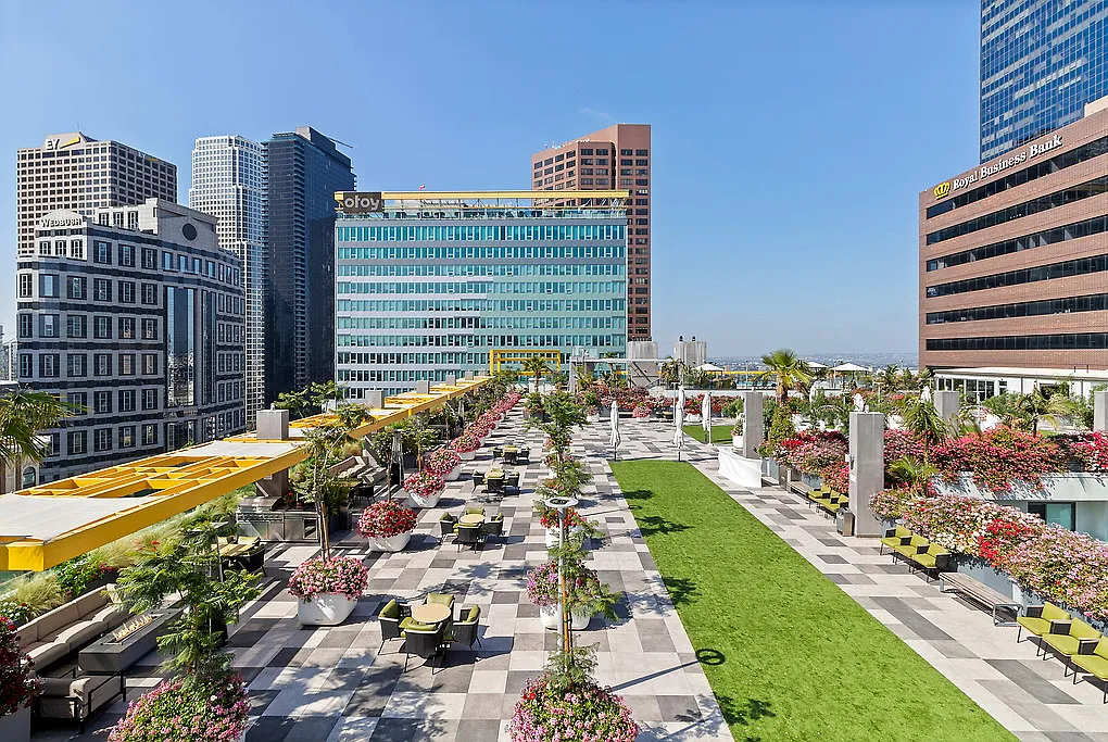 Skylux on Wilshire — Photo 4