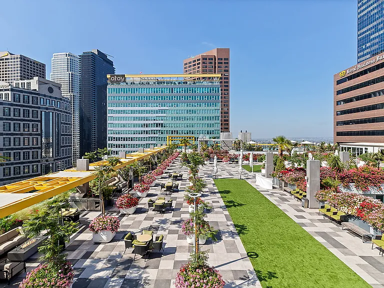 Skylux on Wilshire — Photo 3
