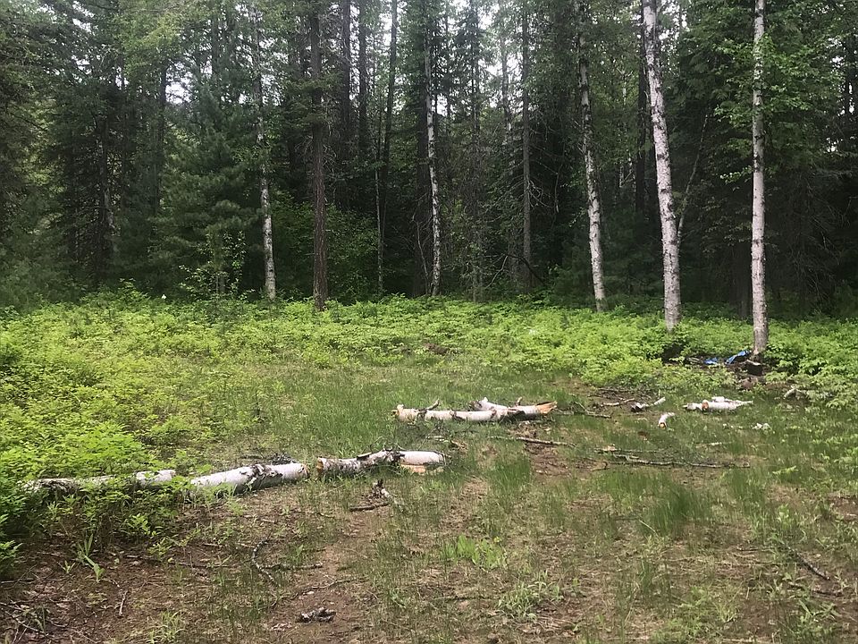 2nd image of 70 Crystal Creek Loop