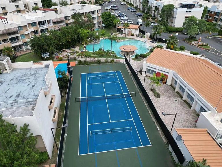 Calle Plumoso Oval — Photo 2