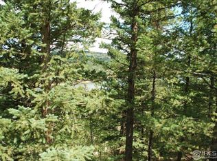 140 Alpine Dr, Nederland, CO 80466