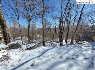 116 Village Rd, Banner Elk, NC 28604