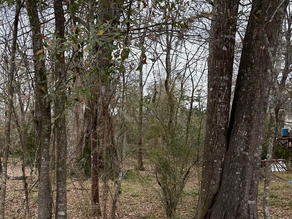 1st image of Amite River Rd