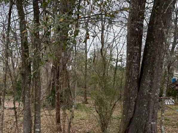 Amite River Rd, Baton Rouge, LA 70817