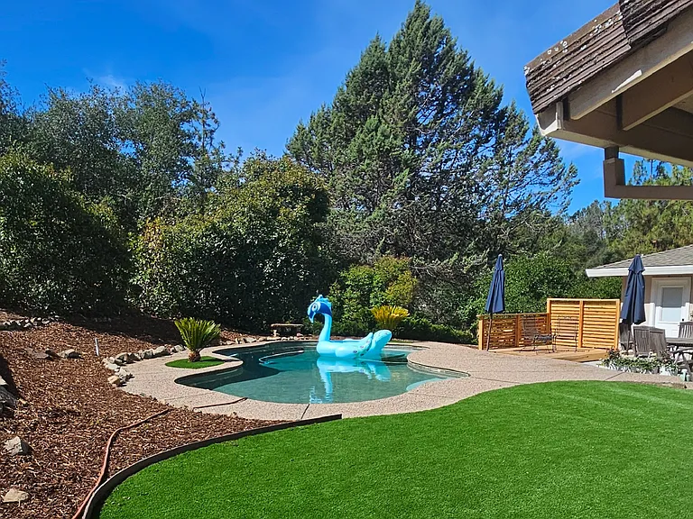 Backyard
