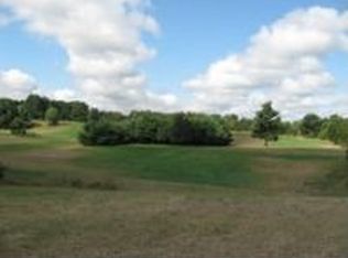 10780 Johnson Rd, Greenville, MI 48838