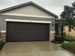 4517 Paper Mulberry Pl, Riverview, FL 33578