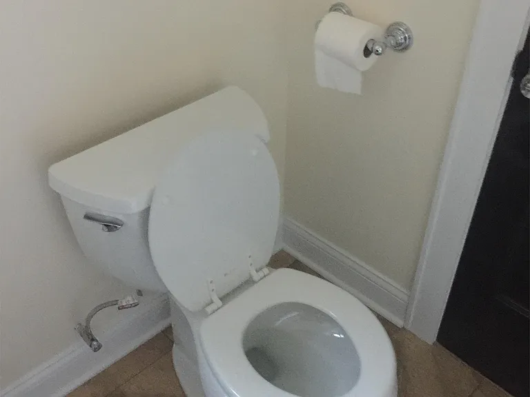 New Toilet by Glacier Bay