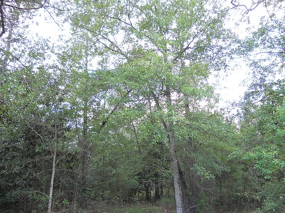 4th image of Lake Orleans Blvd