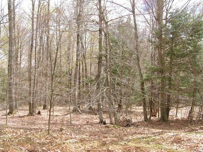 0 County Highway 39, Worcester, NY, 12197