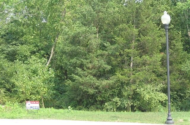 1st image of 1725 Pine Meadow Dr