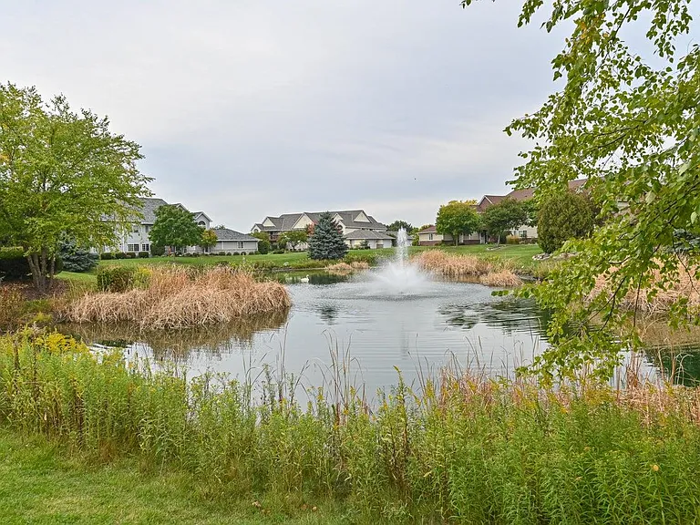 Nearby Pond View