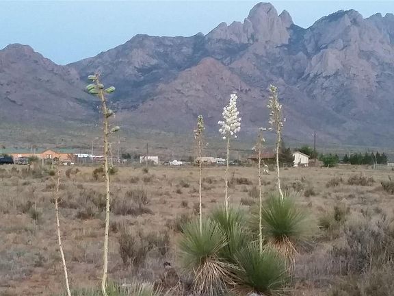 5th image of Tract 2 Brahman Road