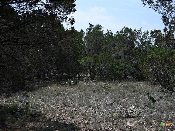 3rd image of 135 Agarita Dr