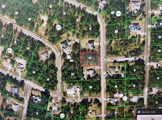8390 N Ronda Dr, Citrus Springs, FL 34433