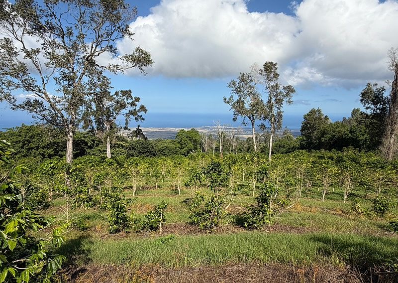 1st image of 73-4245 Hawaii Belt Rd