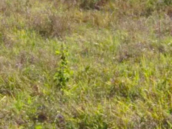 820 Maryland Avenue, Clewiston, FL 33440