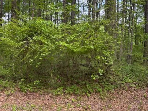 3 Lotta Riv, Sipsey, AL 35584