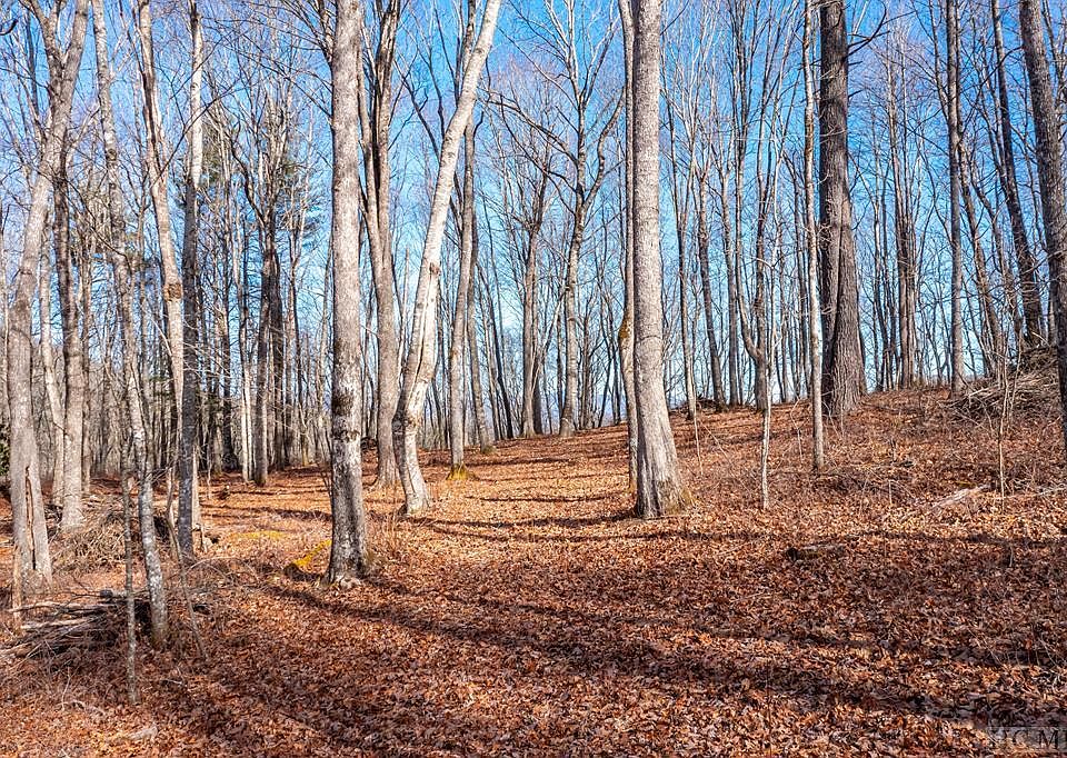1st image of Lot C60 Lodge Woods Trail