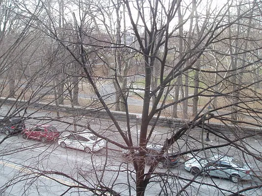 Rented by JK Dansar Corp | media 28