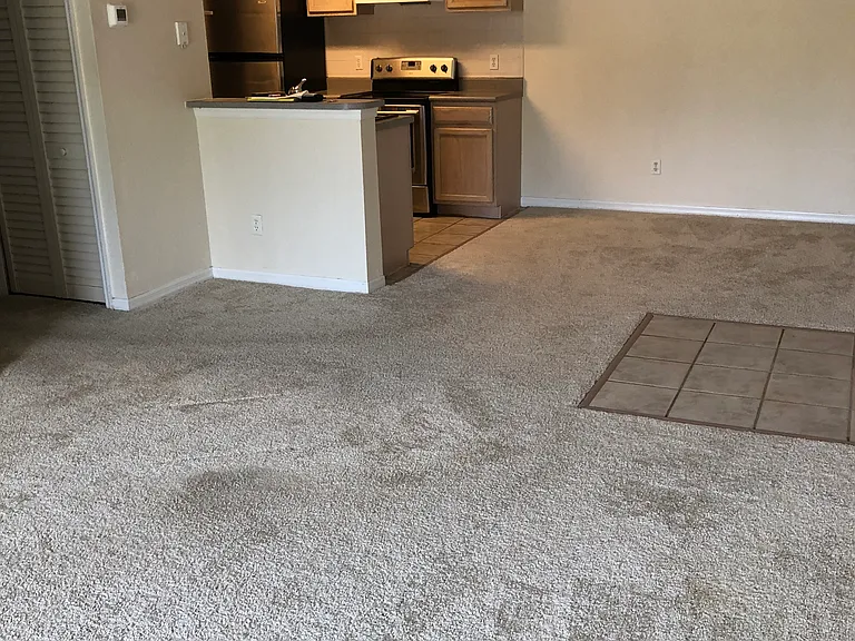 8813 Latrec Ave #205 — Photo 10