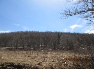 212 Hunter Rd, Parksville, NY 12768