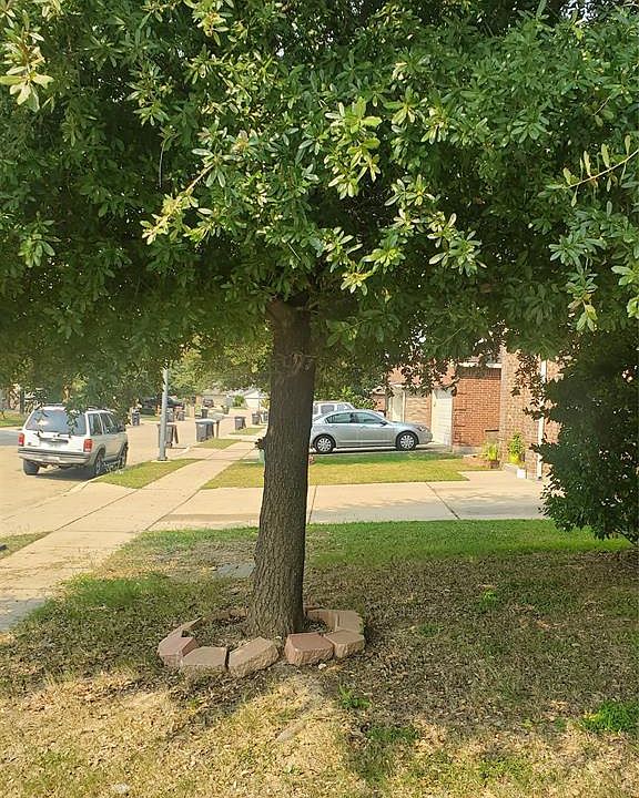 1st image of 7641 Hollow Forest Dr