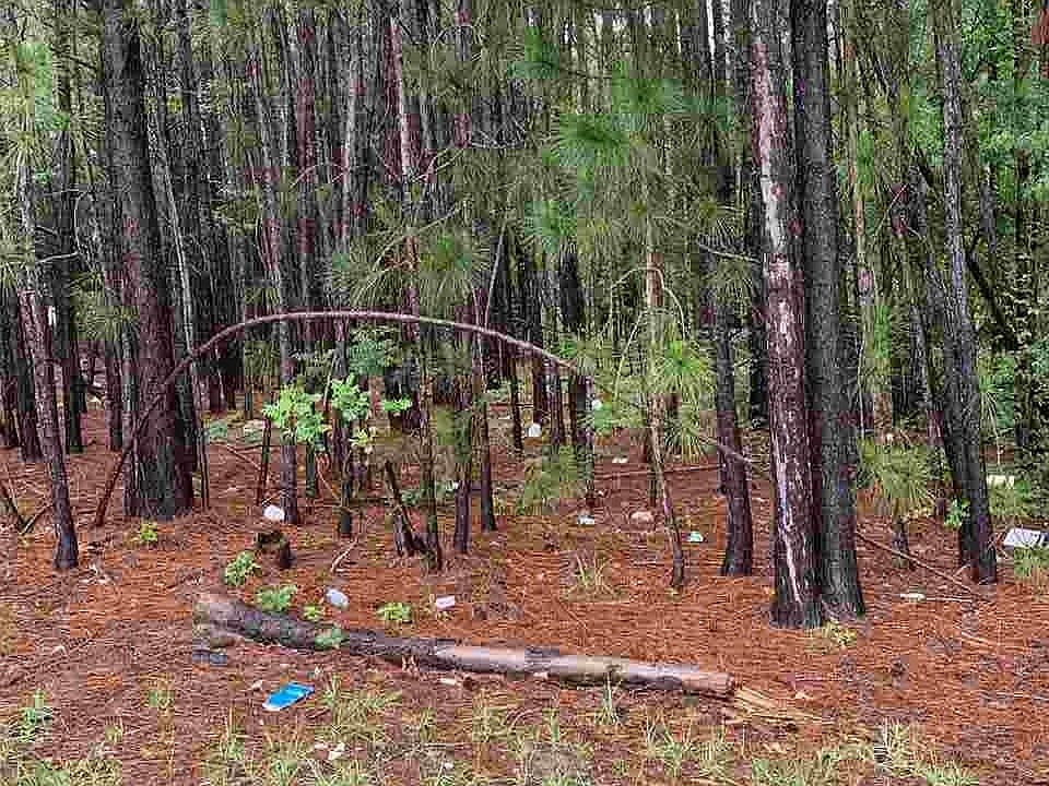 2nd image of 68 Ridge Hvn