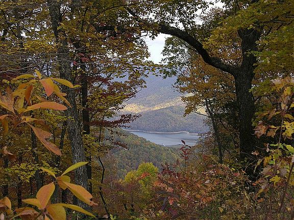Burnett Reservoir View
						:
						Asheville water supply, picture postcard view.