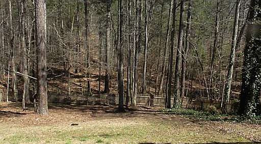 5th image of 605 Victoria Downs Ct