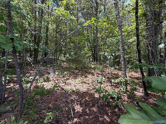 4th image of LOT 4 County Road 592