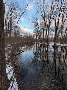 1030 E Berry Rd, Rives Junction, MI, 49277