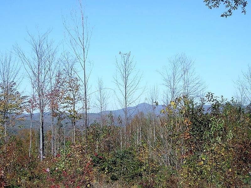 2nd image of Lot 7 Lyle Hall Road
