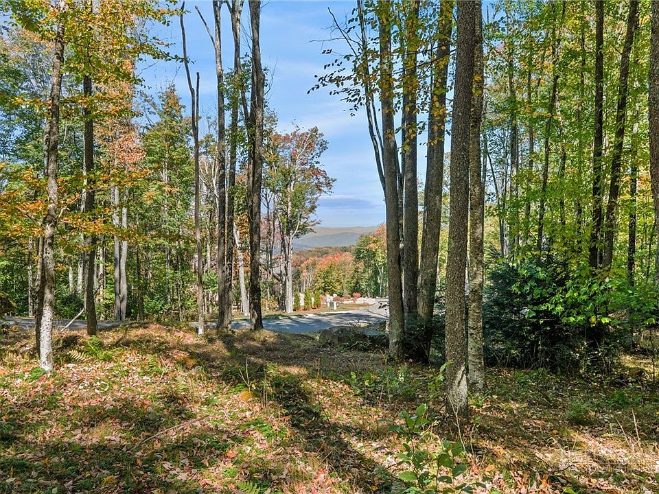 1st image of ES-97 Twisted Oak Path