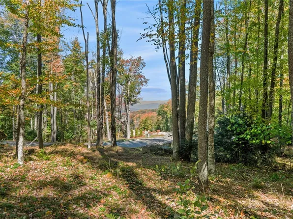 ES-97 Twisted Oak Path, Banner Elk, NC 28604