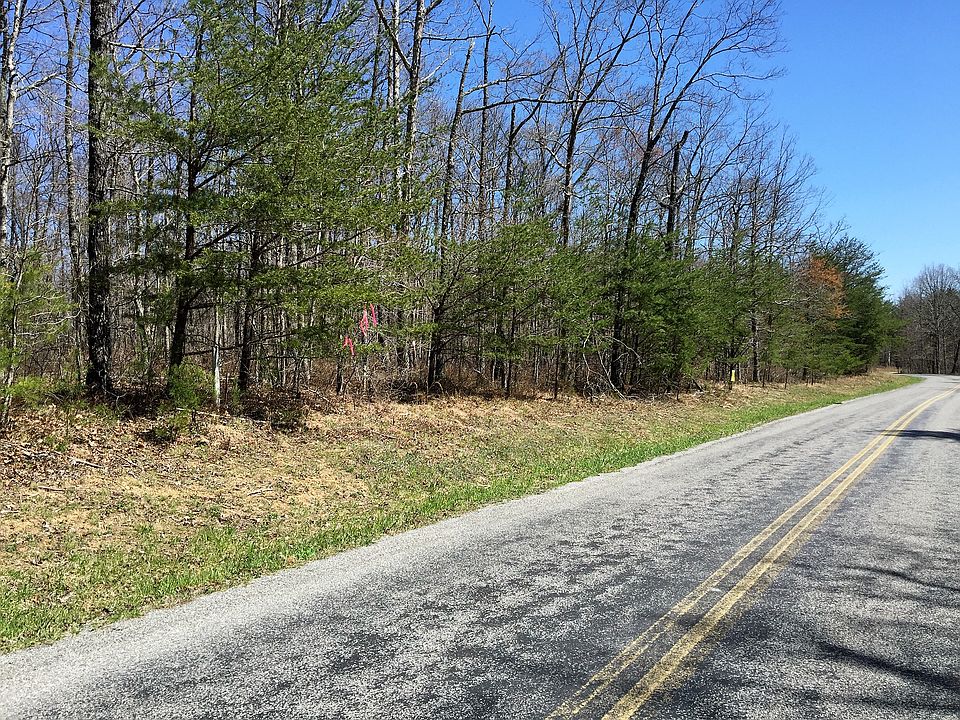 2nd image of The Woods