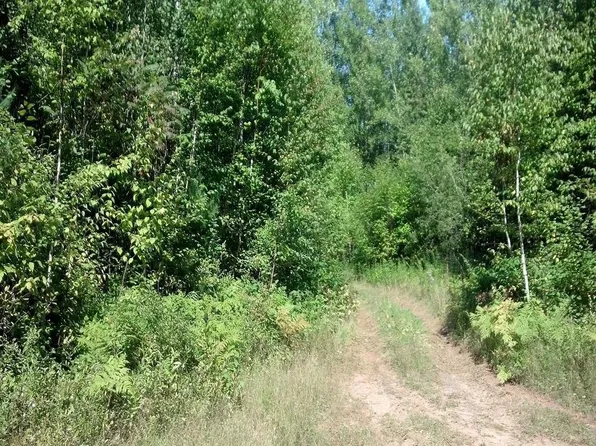 ON East Altamont Road, Mason, WI 54856