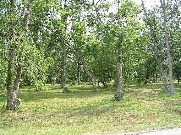 4th image of 32111 Rolling Woods Trl