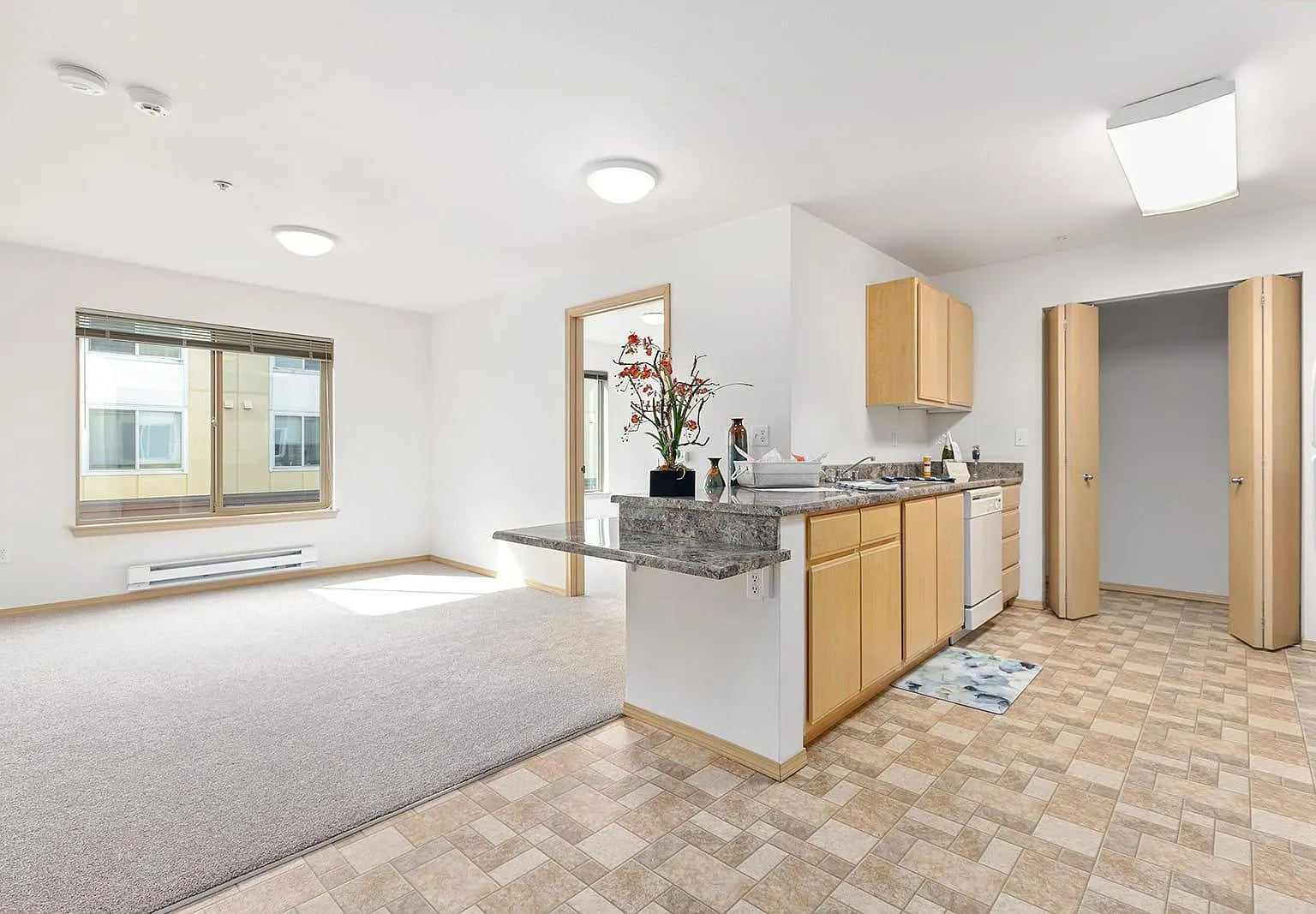 New Haven Senior Living Apartments — Photo 4