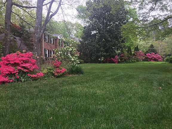 Something is always blooming