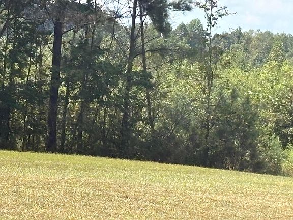 2nd image of 0 Prospect Rd